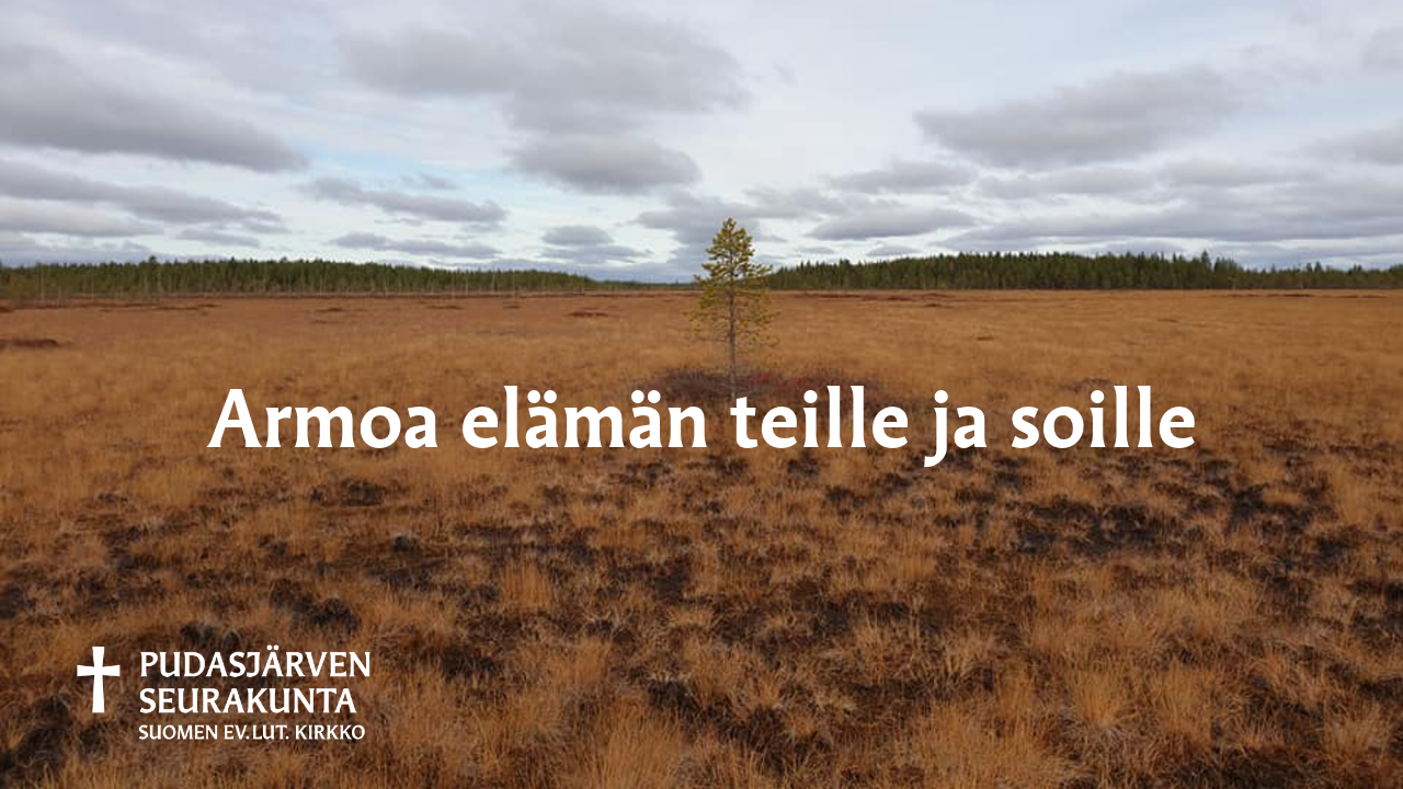 Kopio_ kesäkirkko 1.png